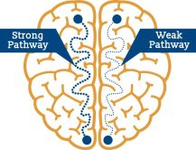 strong-vs-weak-pathways-743x570